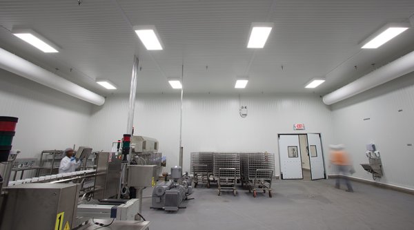 Food processing lighting fixture