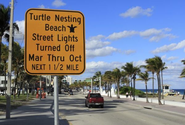 Turtle friendly street lights