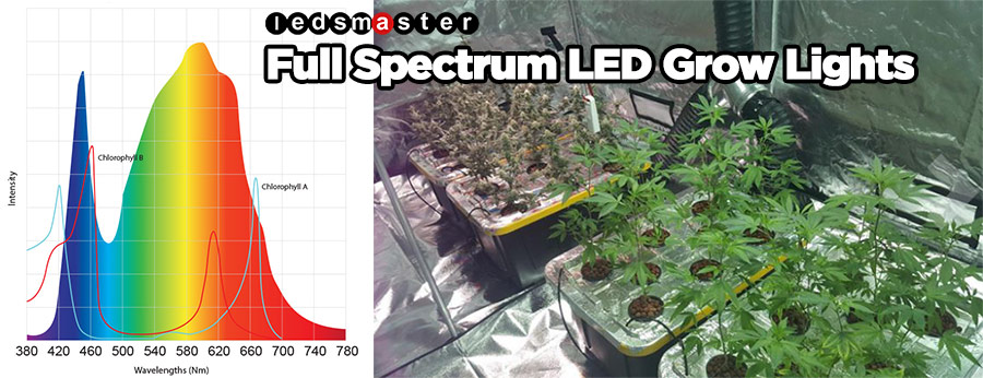 LED Full Spectrum Grow Lights