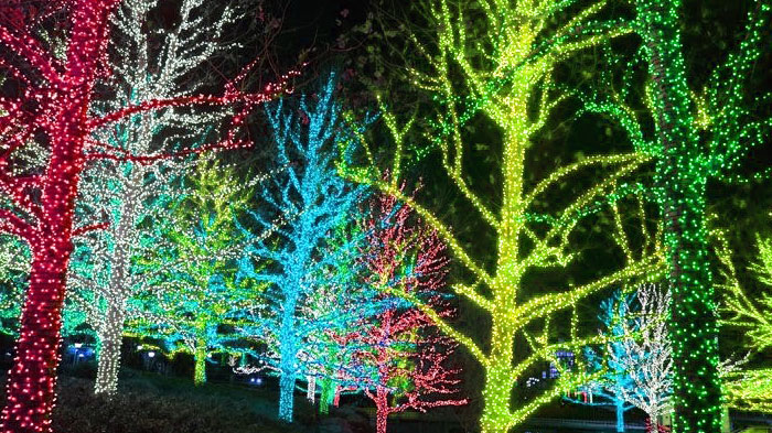 Christmas tree with RGB color changing lights