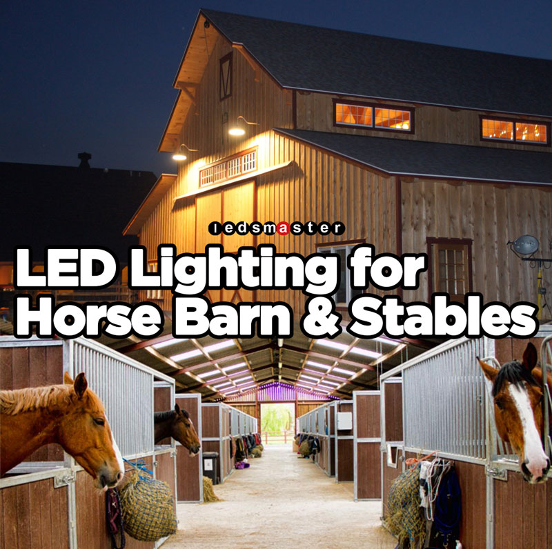 Horse barn & aisle lighting