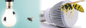 relationship between led lighting and bugs