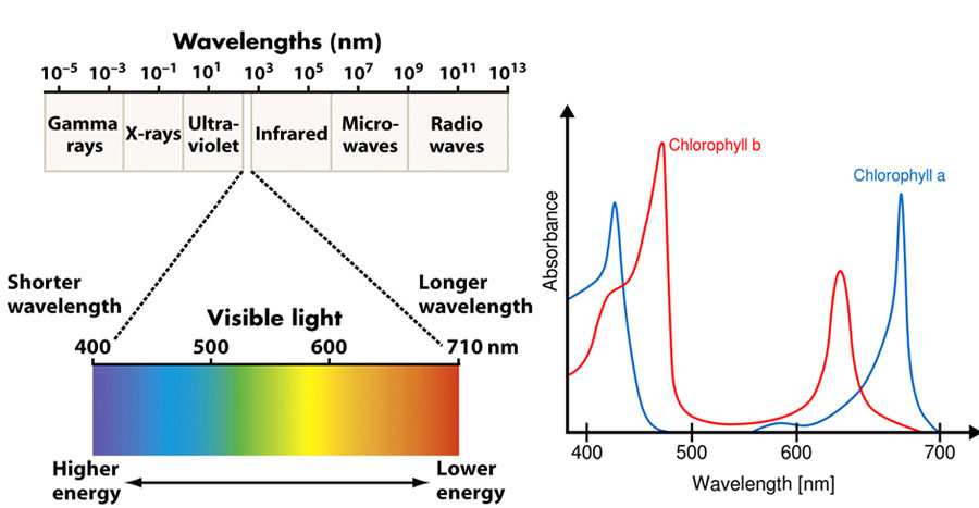 led-light-spectrum