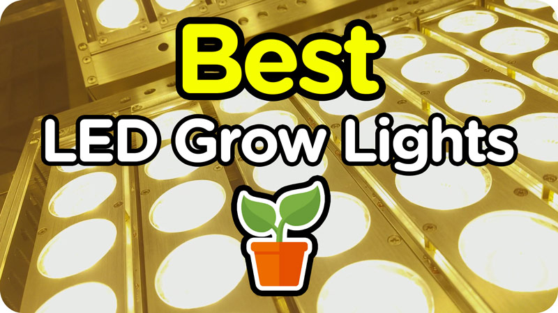 cheap-led-grow-lights-for-cannabis-tomato-carrot-lemon