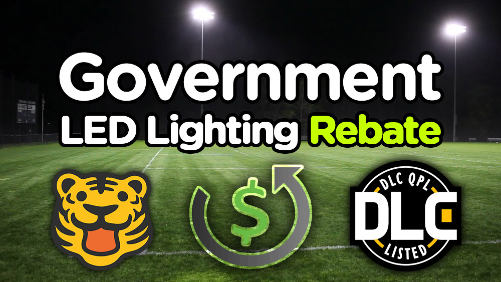 Government Rebate For Led Lights