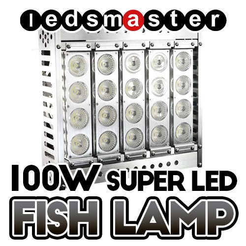 LED-Fish-Lamp-100W