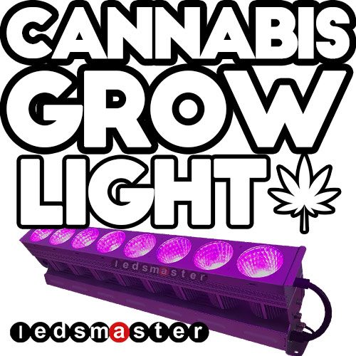led cannabis grow lights