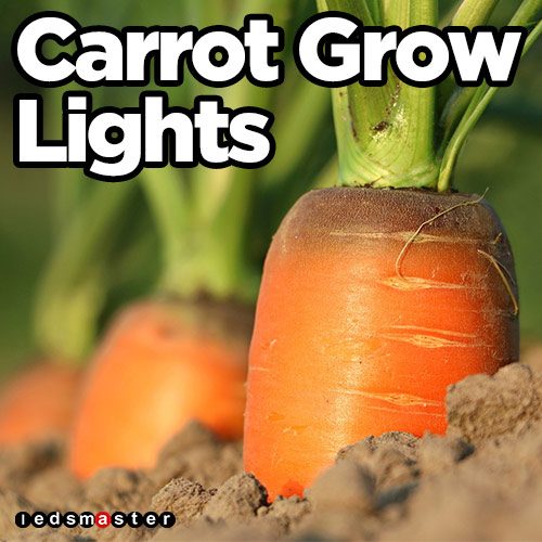 LED-carrot-grow-lights