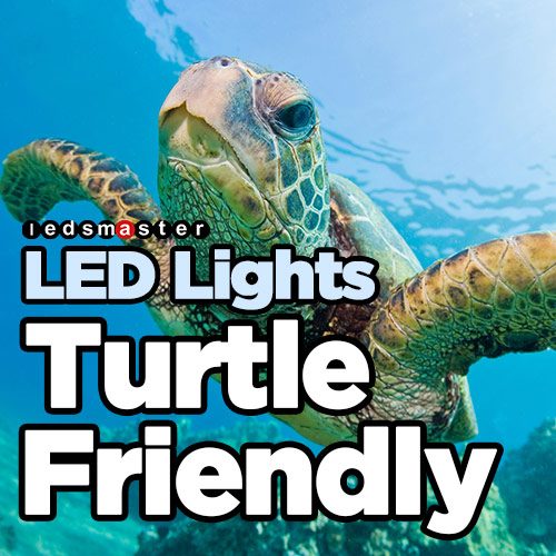 LED turtle friendly lighting