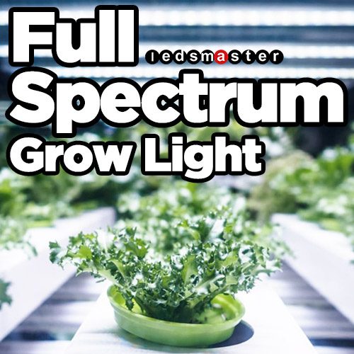 Full spectrum LED grow lights