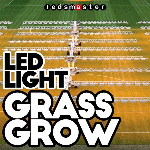 led grass grow lights for stadium